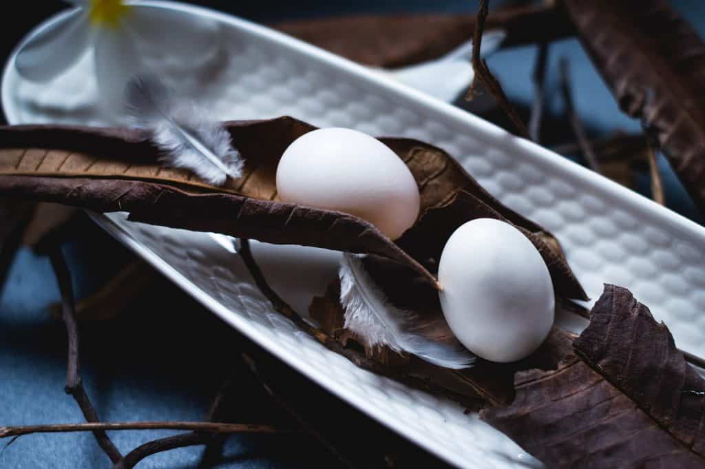 How long can pigeon eggs survive without incubation?