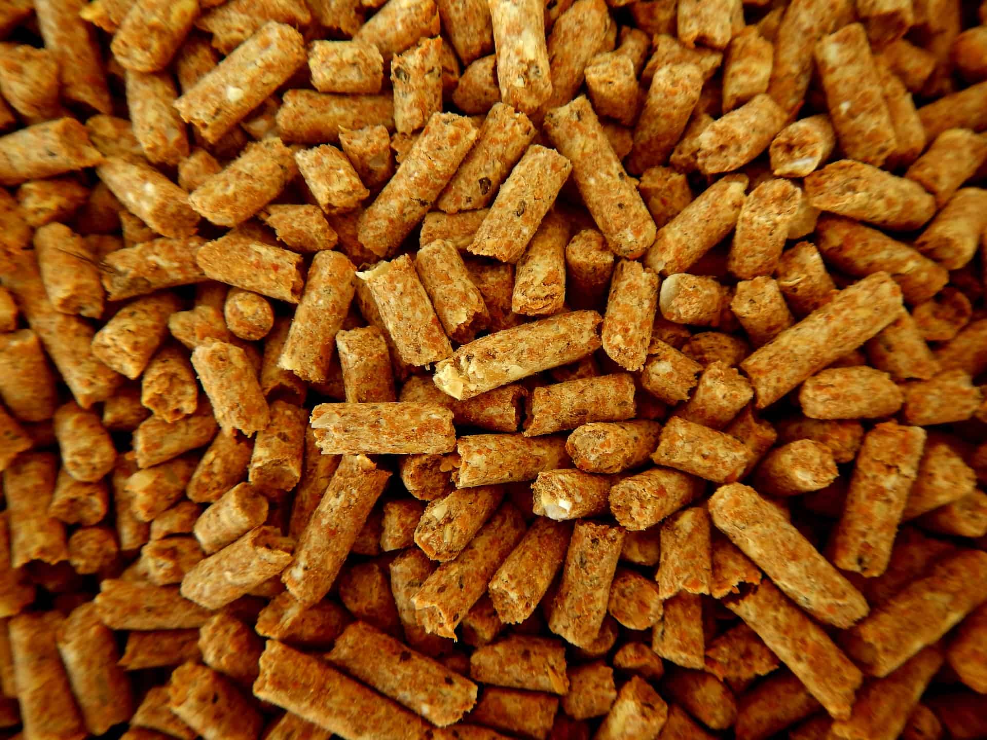 Bird Pellets | Best Pellet Feed For Birds