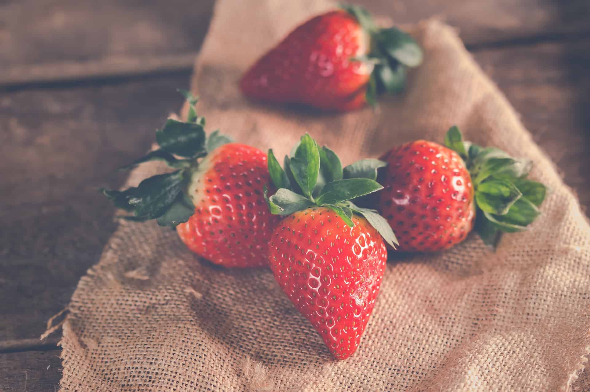 can budgies eat strawberries