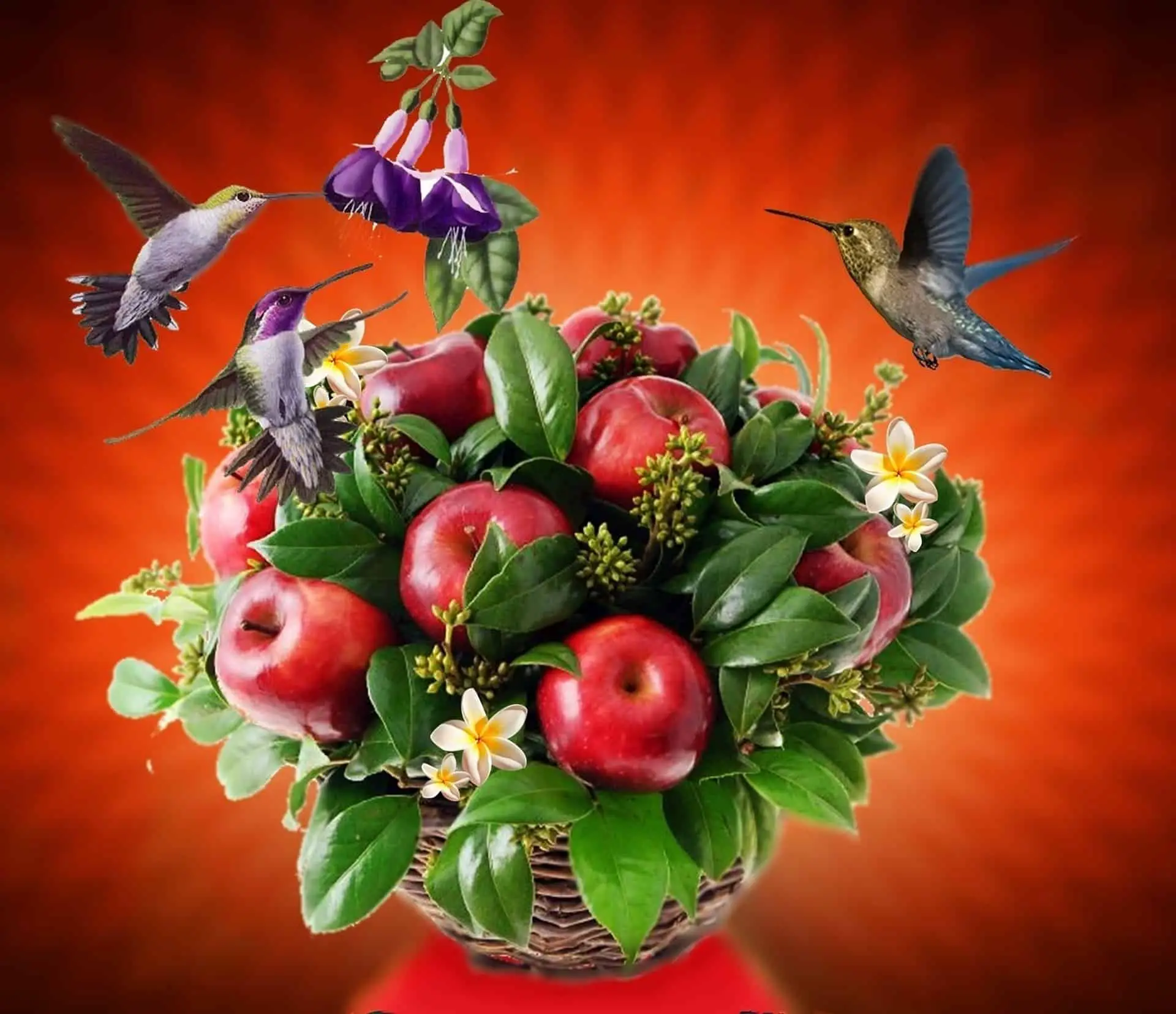 Do Hummingbirds Eat Fruits