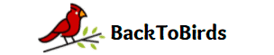 Backtobirds Logo