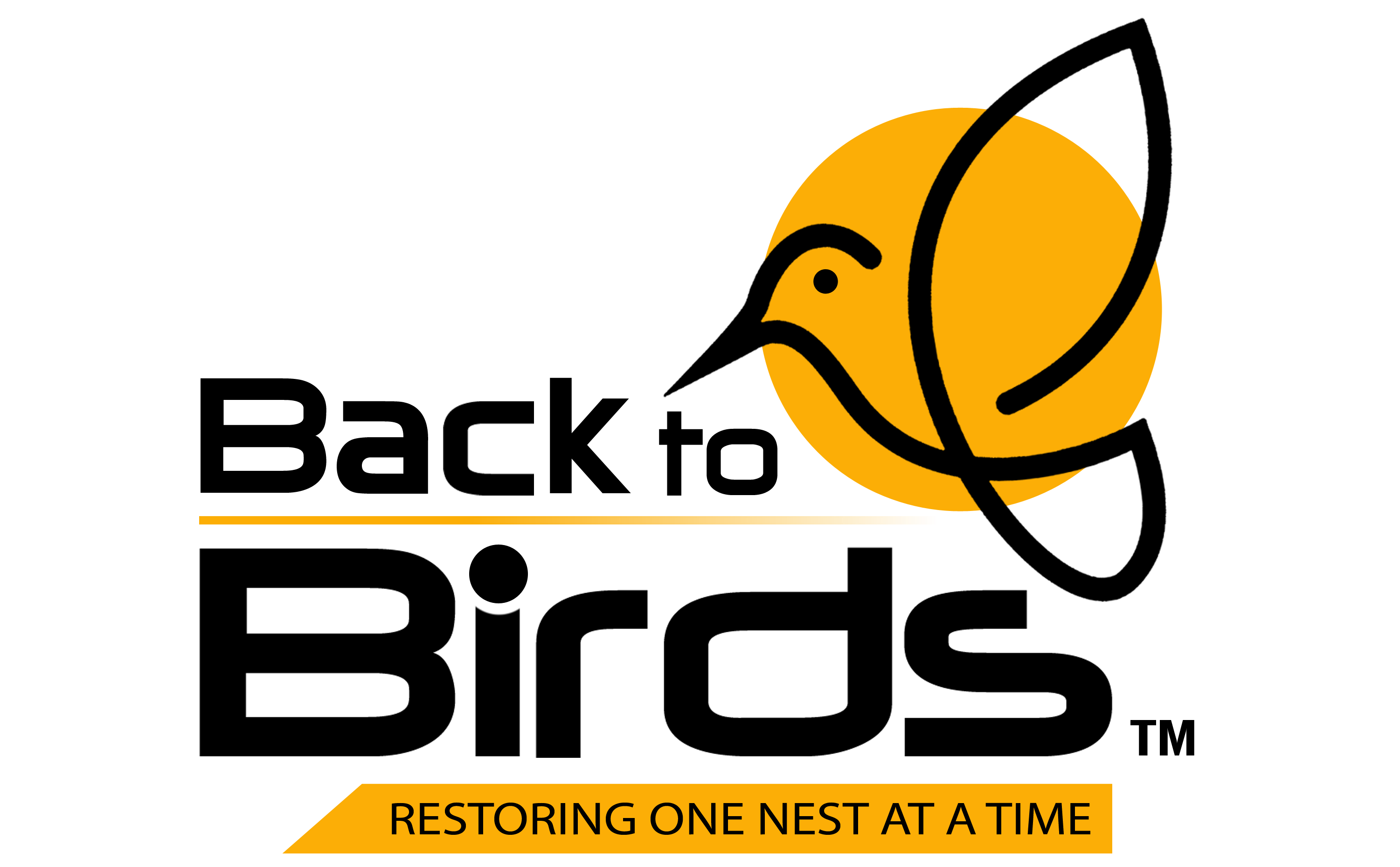 Backtobirds