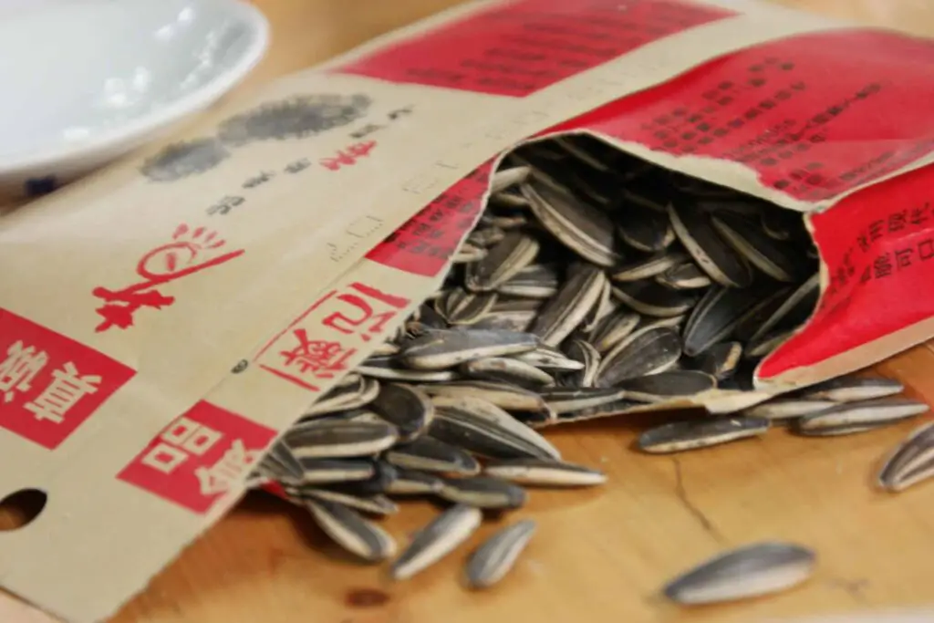 Do pigeons eat sunflower seeds
