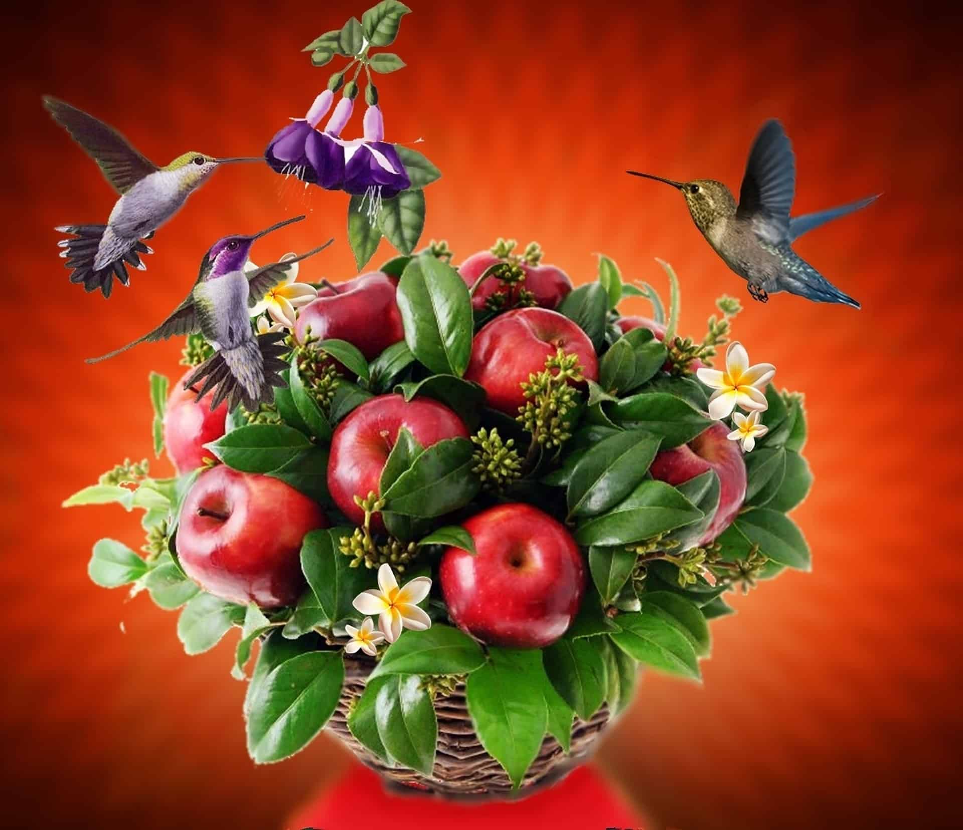 Do Hummingbirds Eat Fruits? ( Interesting Fruit Facts On Hummingbirds )