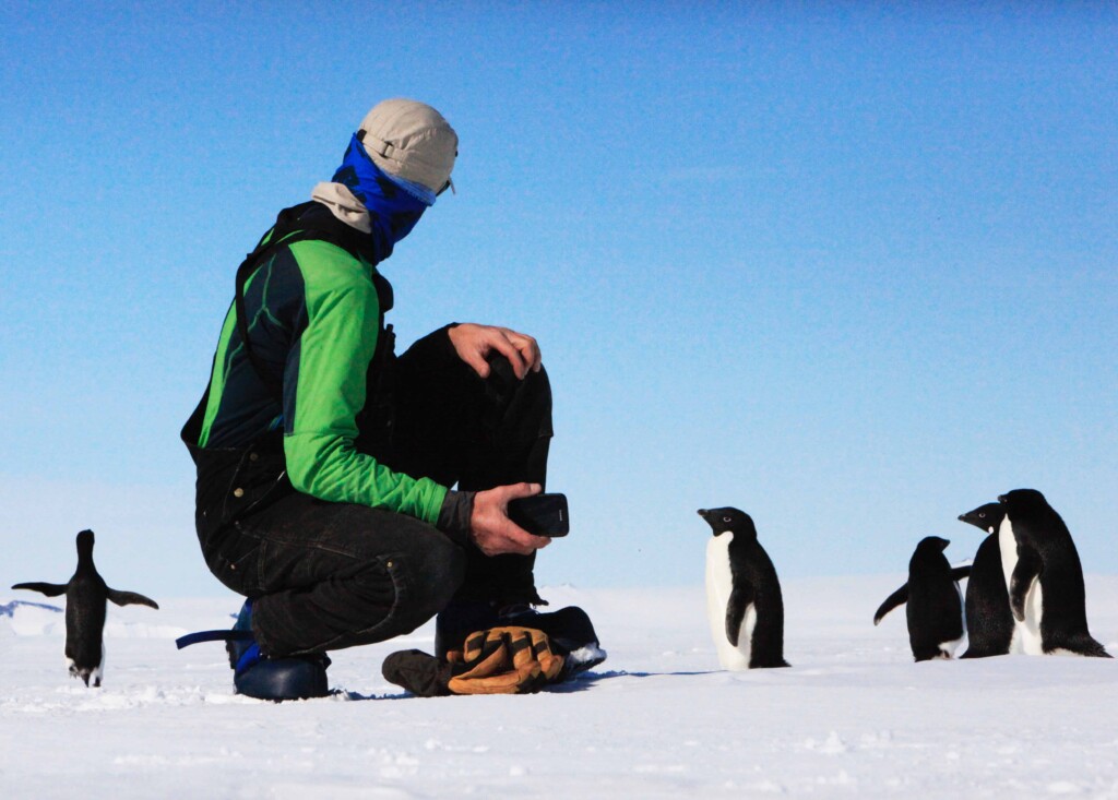 Are Penguins Friendly? Why Are Penguins Not Afraid Of Humans?